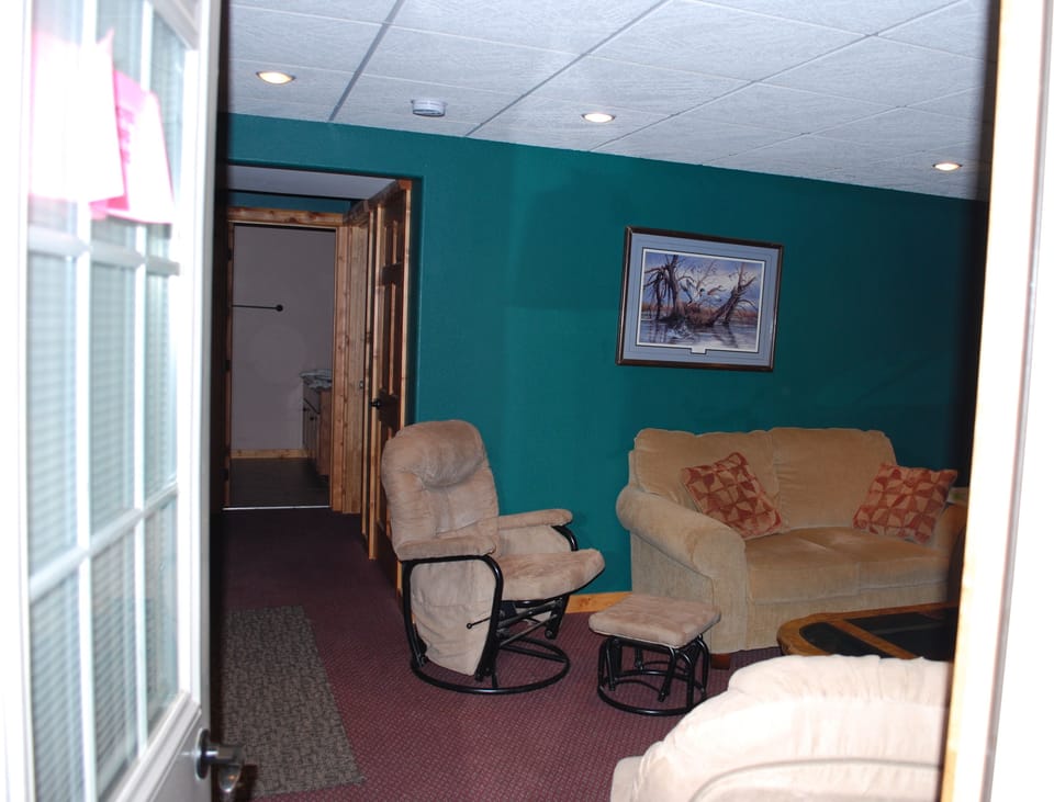 Basement Living Room