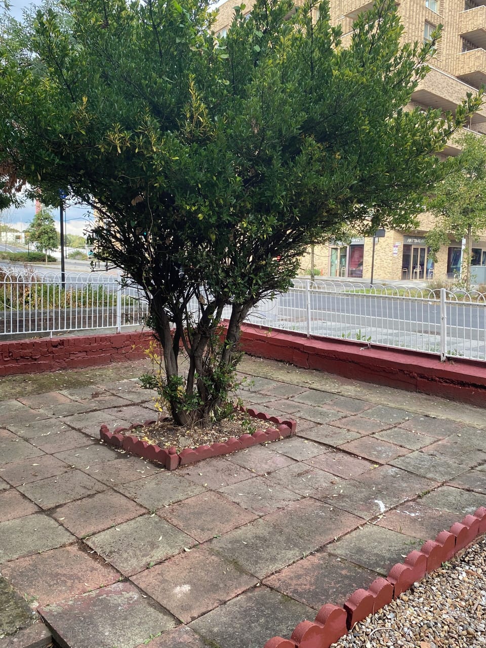 Property grounds