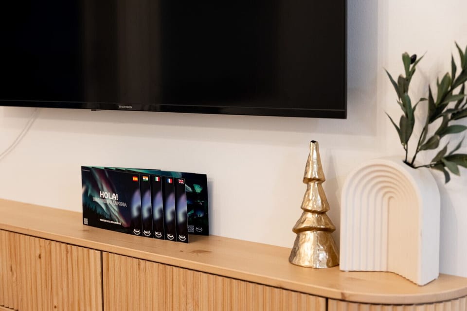 Television