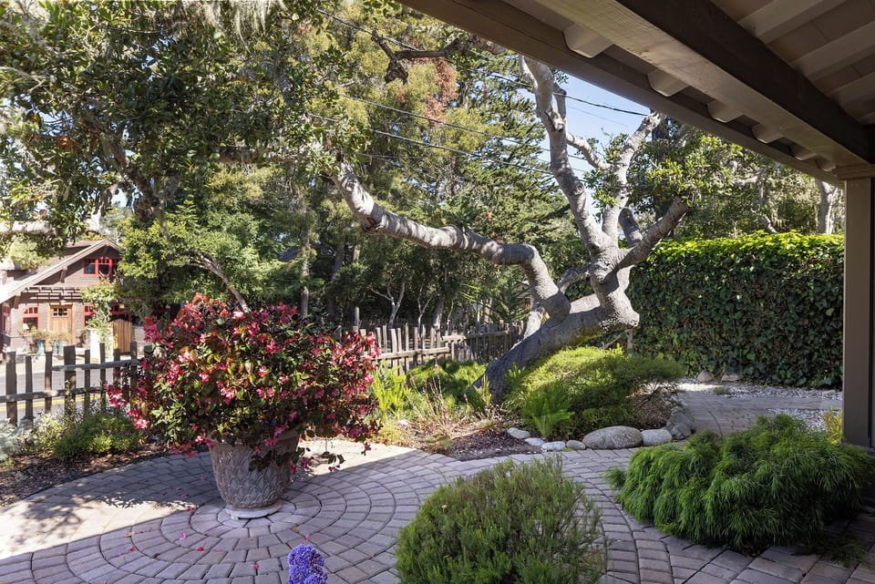 Front yard with shade