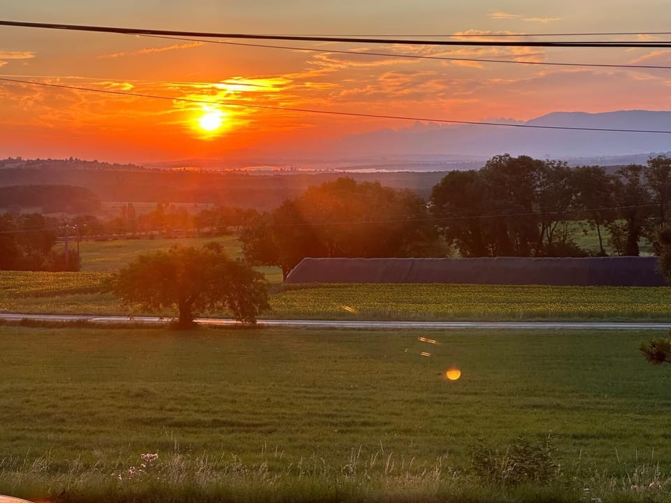 View from property