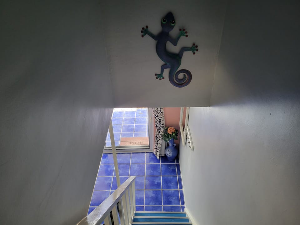 Stairs to lower level
