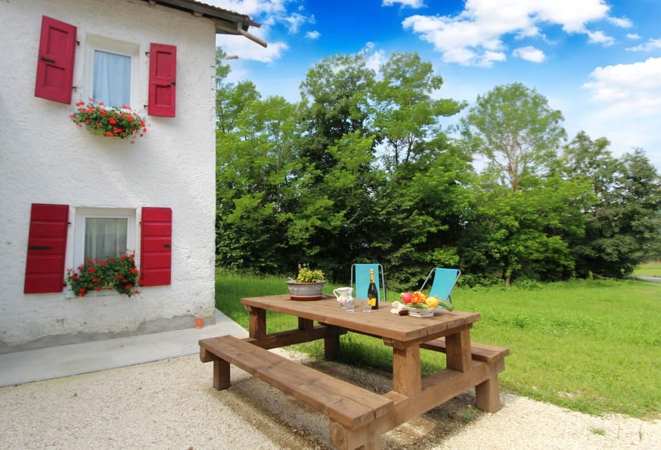 Autumn, Garden, Spring, Summer