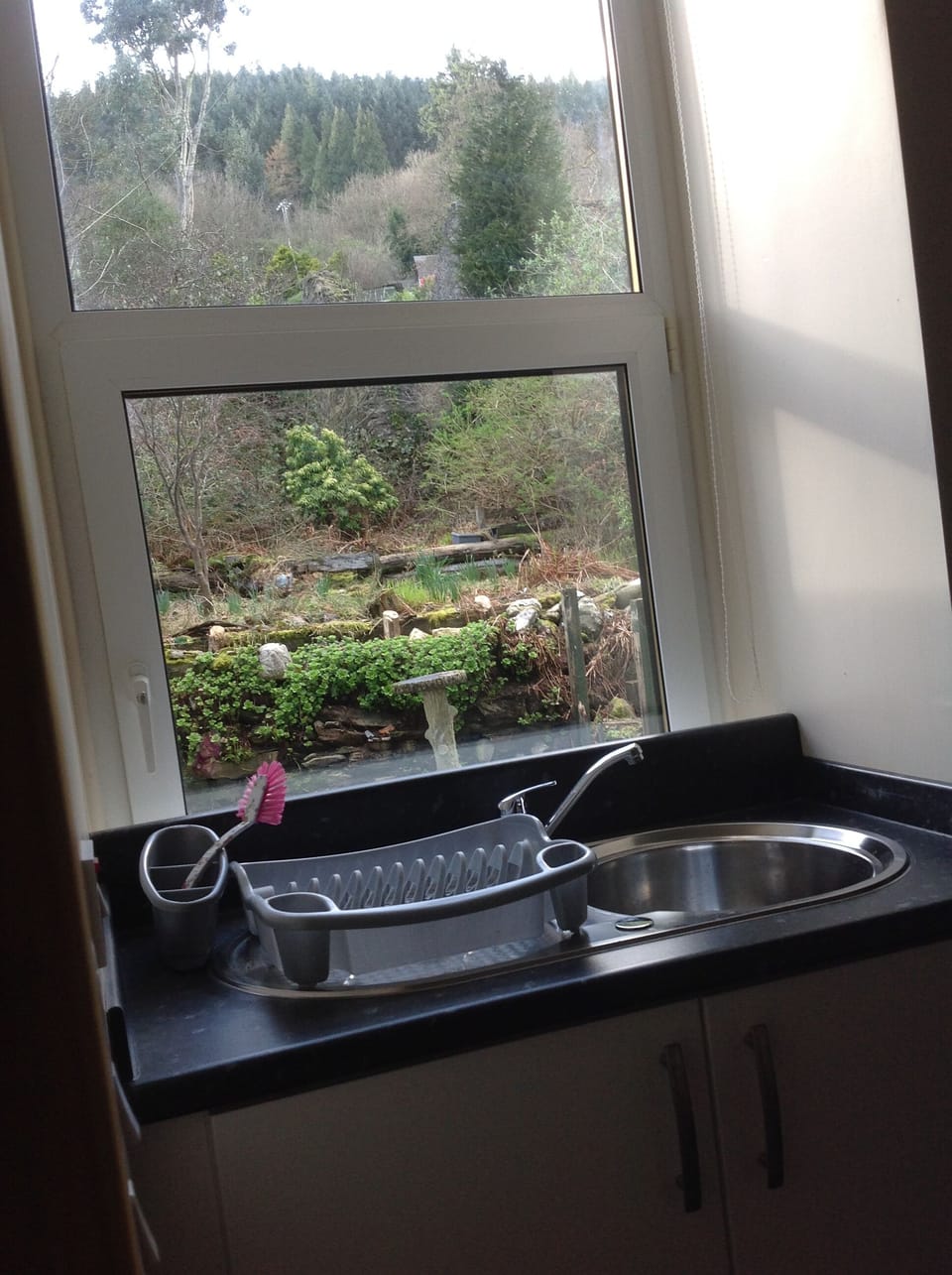 View to the rear yard.