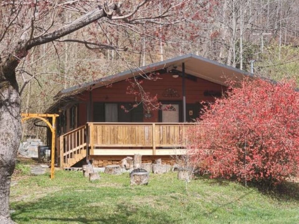 Black Beary welcomes you as spring blooms in the Smokies