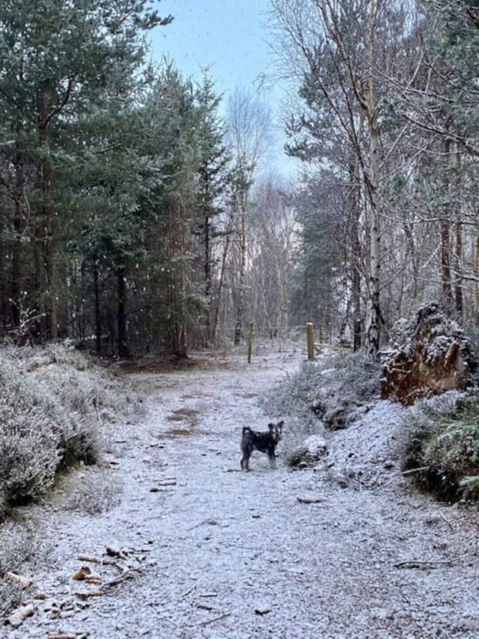 A winter wonderland…