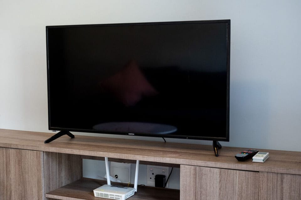 Television
