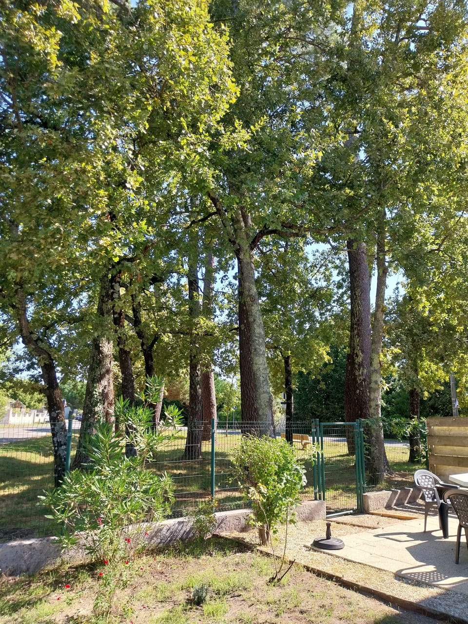 Property grounds