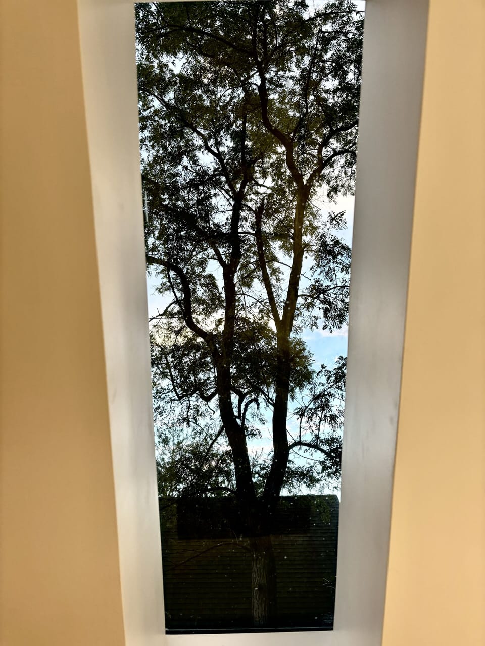 Skylights adorn the three upstairs bedrooms