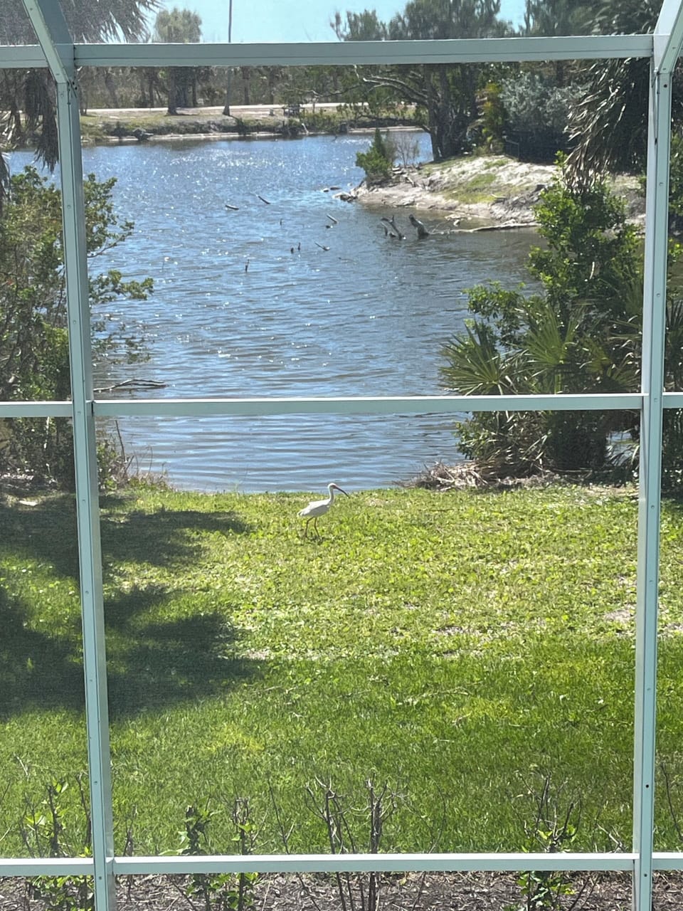 Wildlife viewing from pool and balcony.