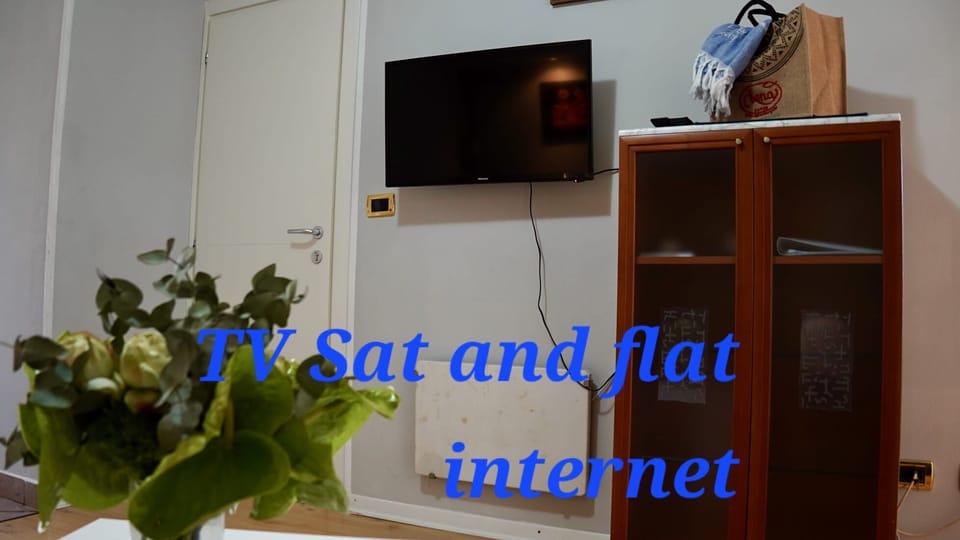 Television