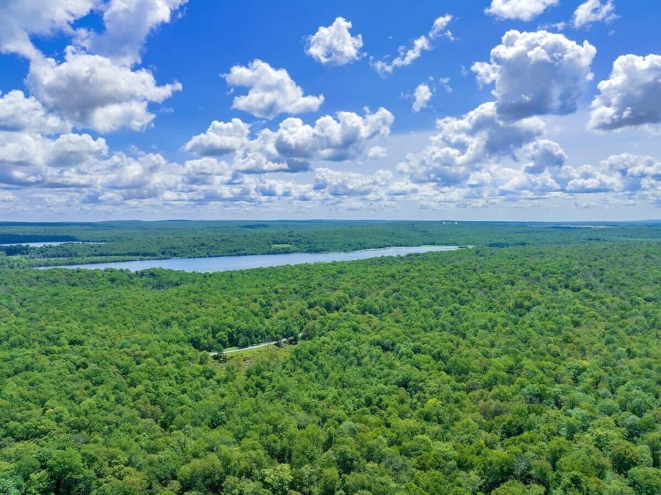 Scenic Aerial Views of Forest and Mountains
