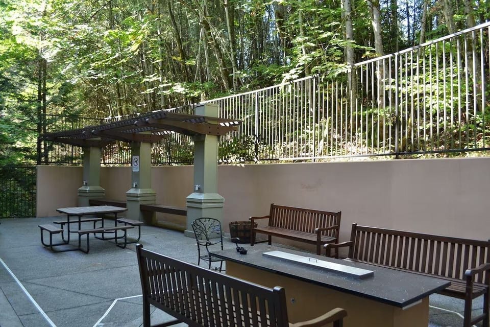 Unwind outdoors with casual seating and fresh forest air.