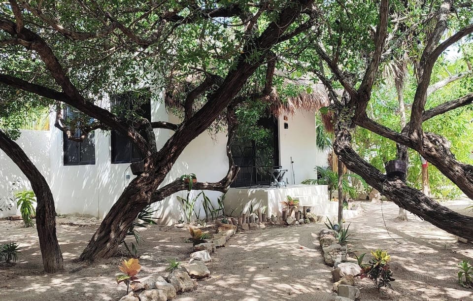 Casa 4, Outside and path