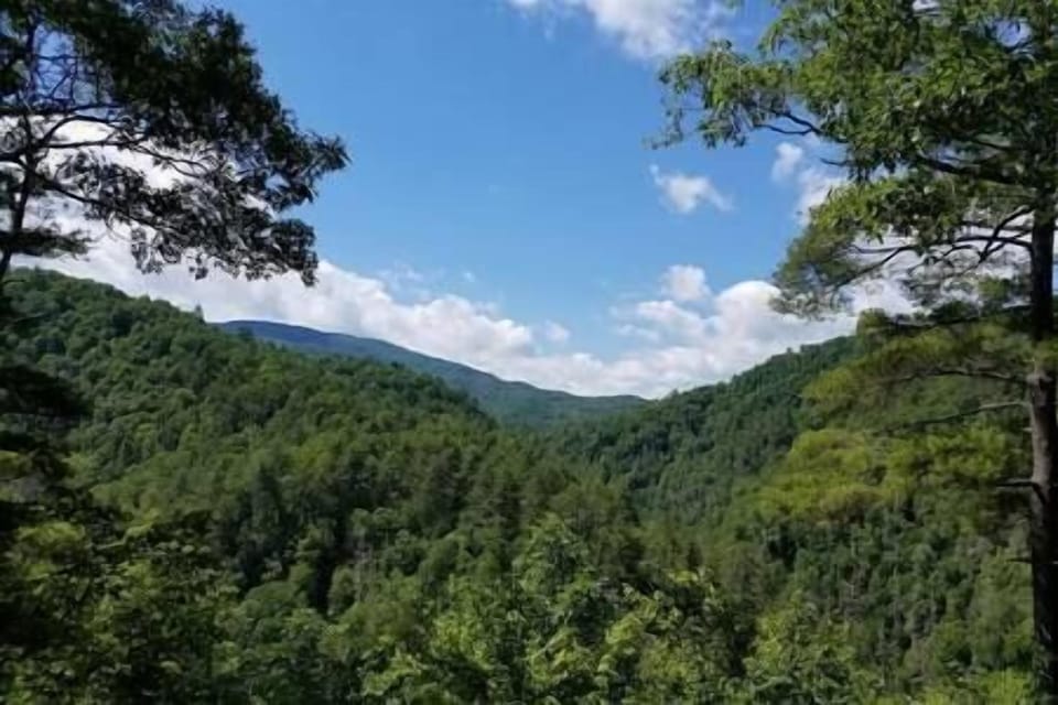 6e64bc16 9d51 43e9 a8d8 acf900beb04d