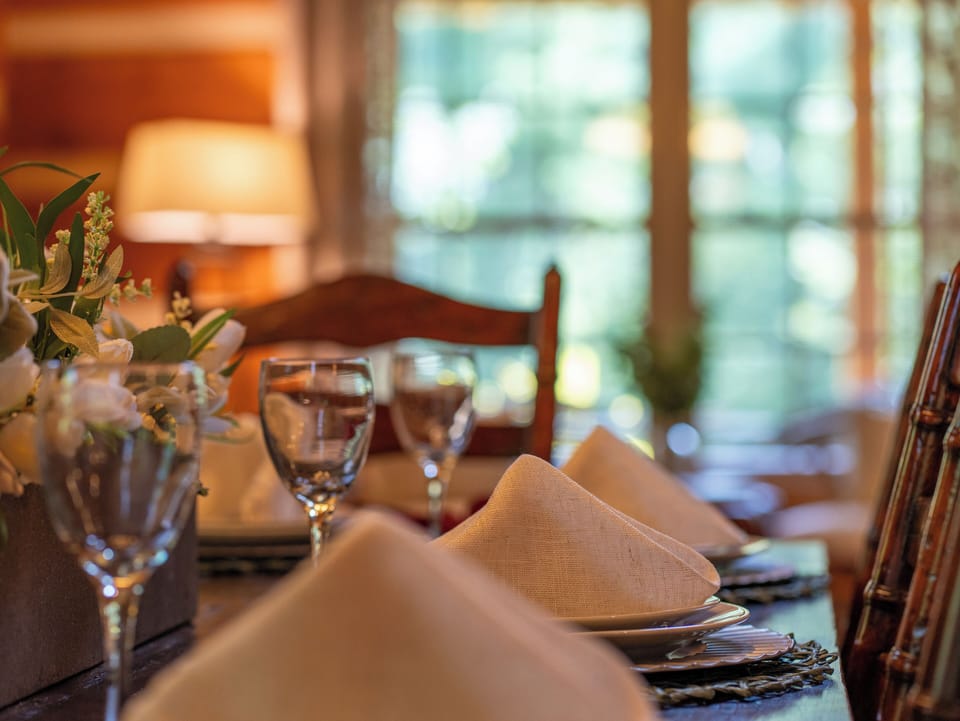 Rustic dining table with forest views