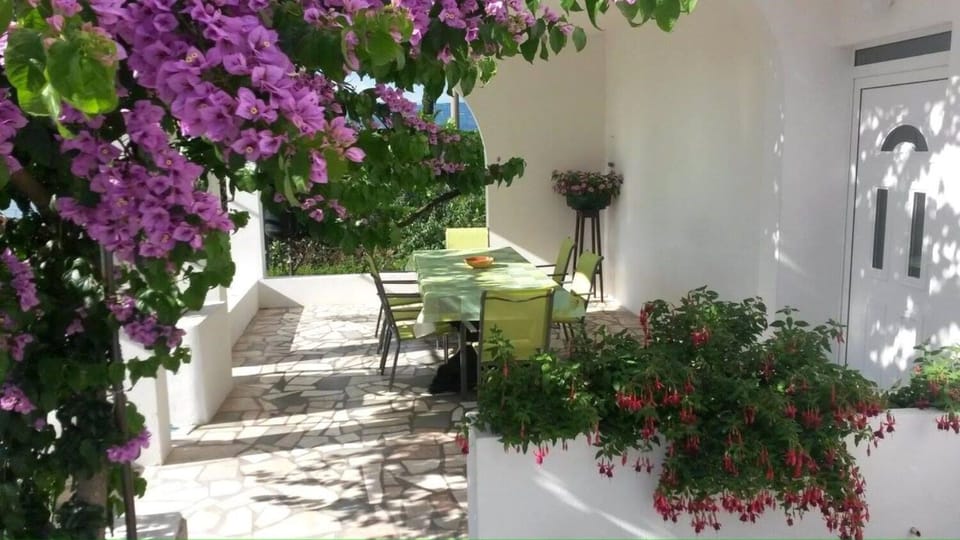 Apartment Lilac (11096-A1) - Arbanija (Ciovo) Apartment in Split-Dalmatia County