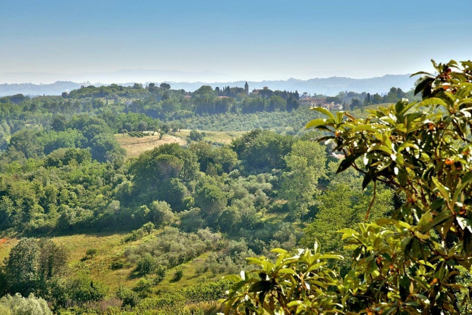 View from Holiday Home [summer]