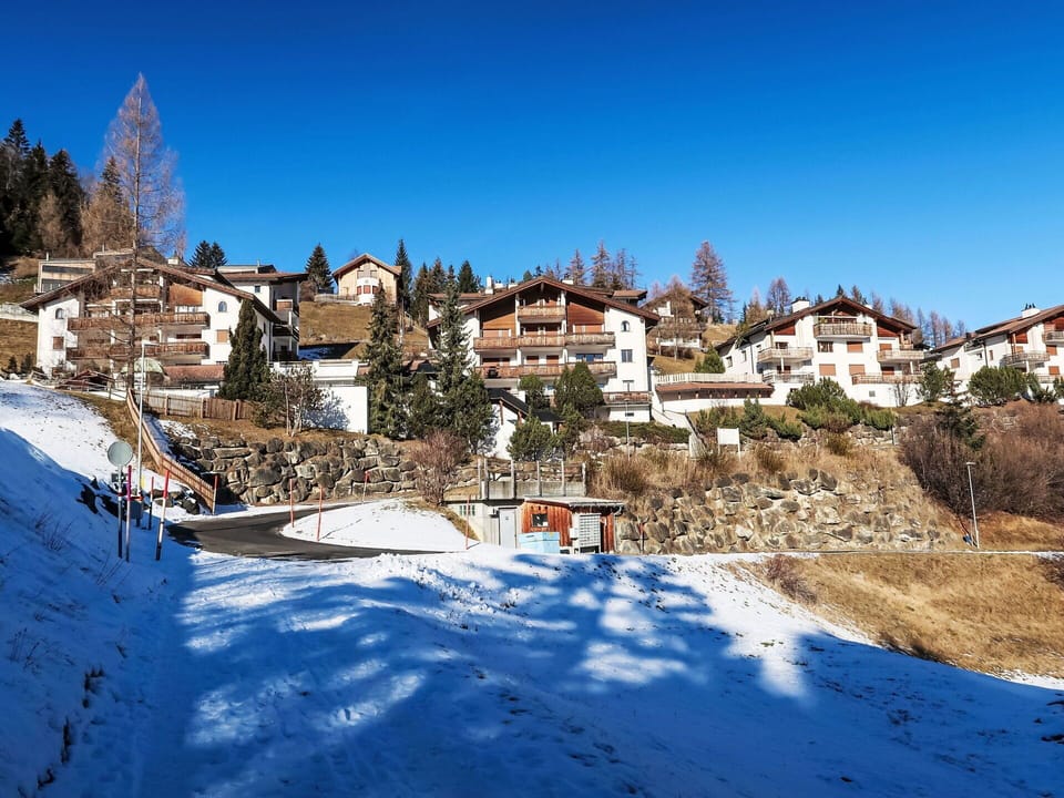 Tree, House, Residential Area, Home, Winter, Snow, Human Settlement, Freezing, Slope, Village