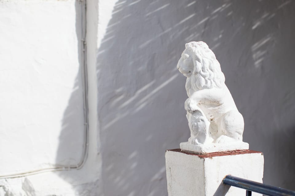 Lion Guarding The Sun Terrace