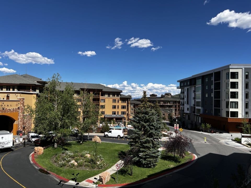 City, Neighborhood, Tree, Fir, Building