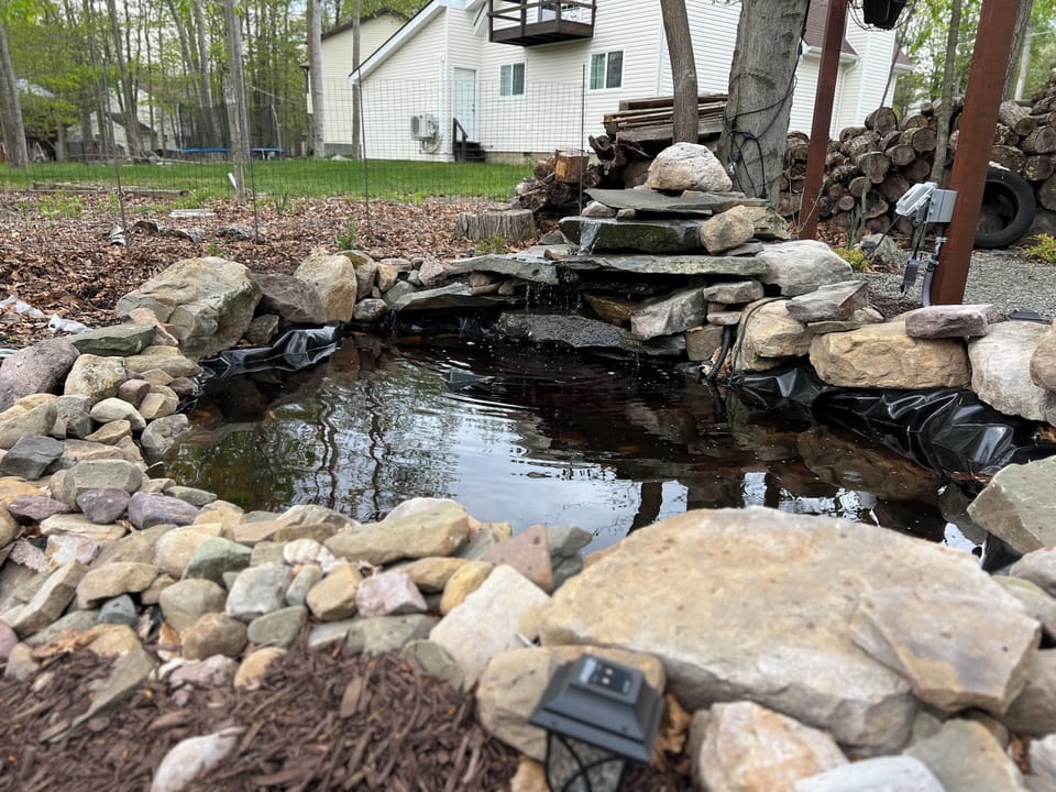 Pond in backyard