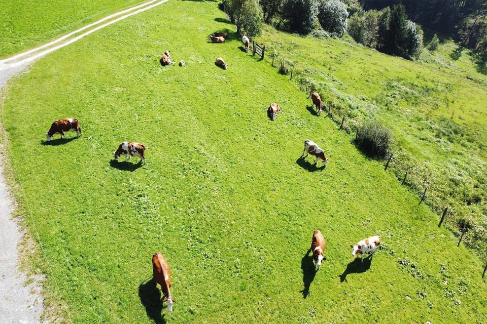 View from Holiday Home [summer]
