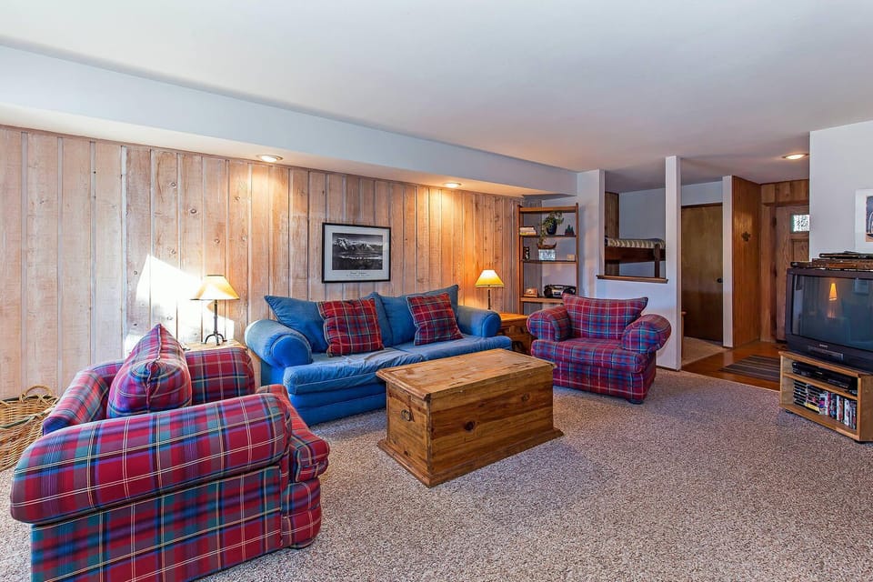 Cozy mountain living room
