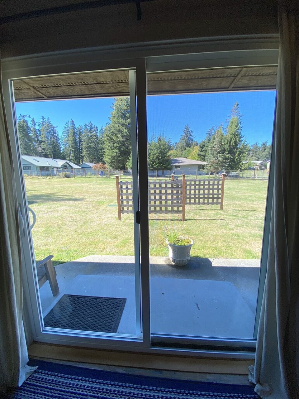 Large grassy, flat backyard. This part of the yard is not fenced off. There are balls and other back yard games available. 