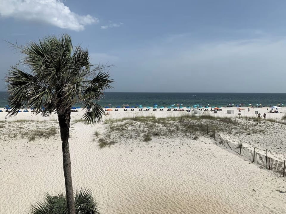 Gorgeous Gulf Shores