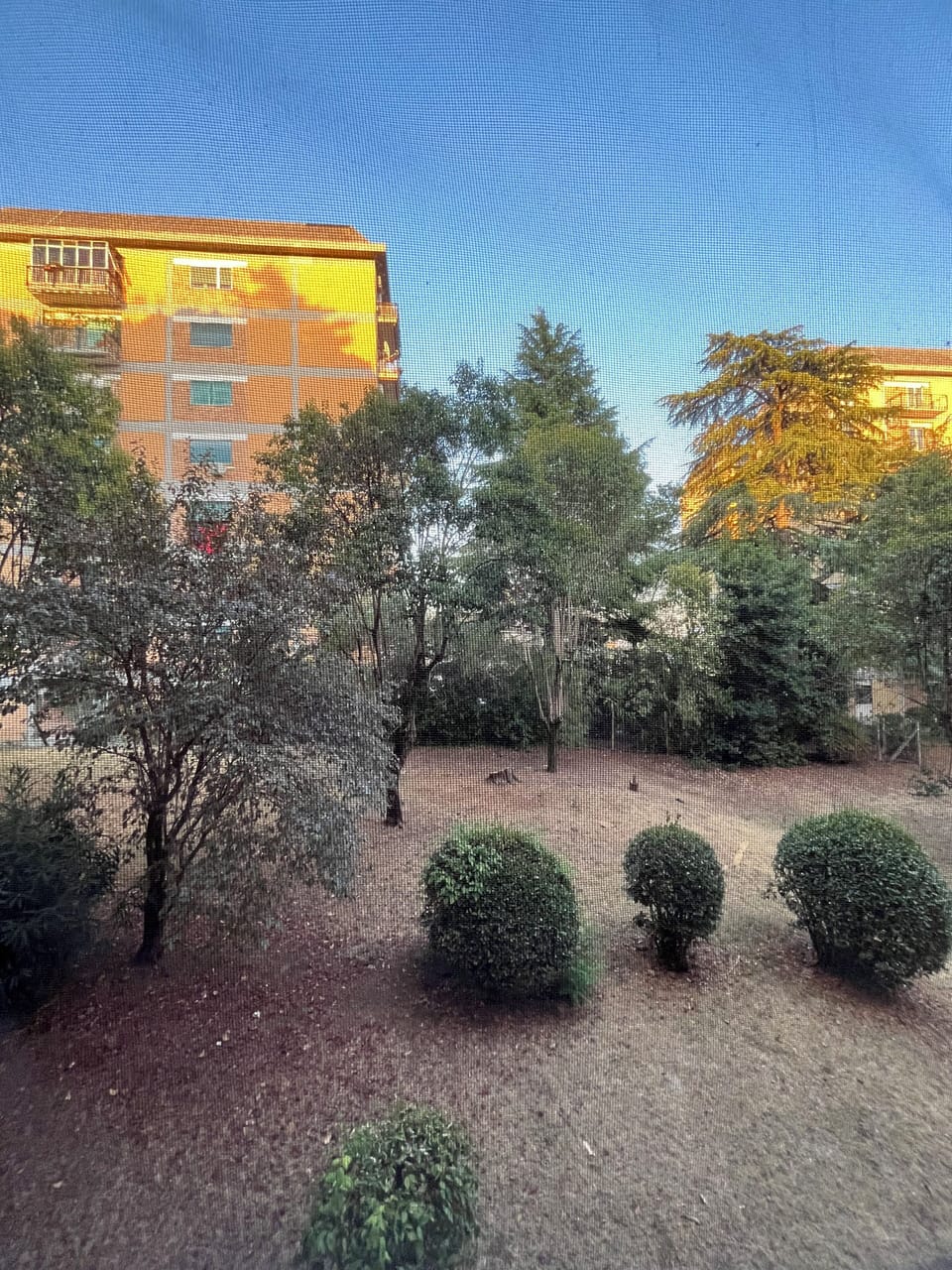 Property grounds