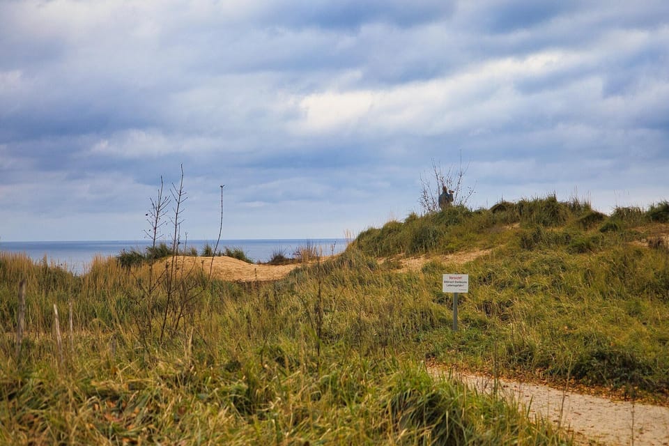 Immediate Surroundings [summer] (<1 km)