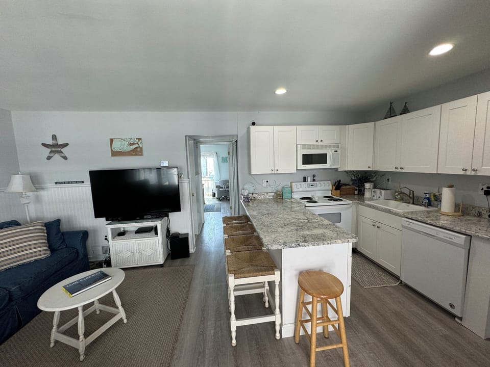 Living Room and Kitchen Area