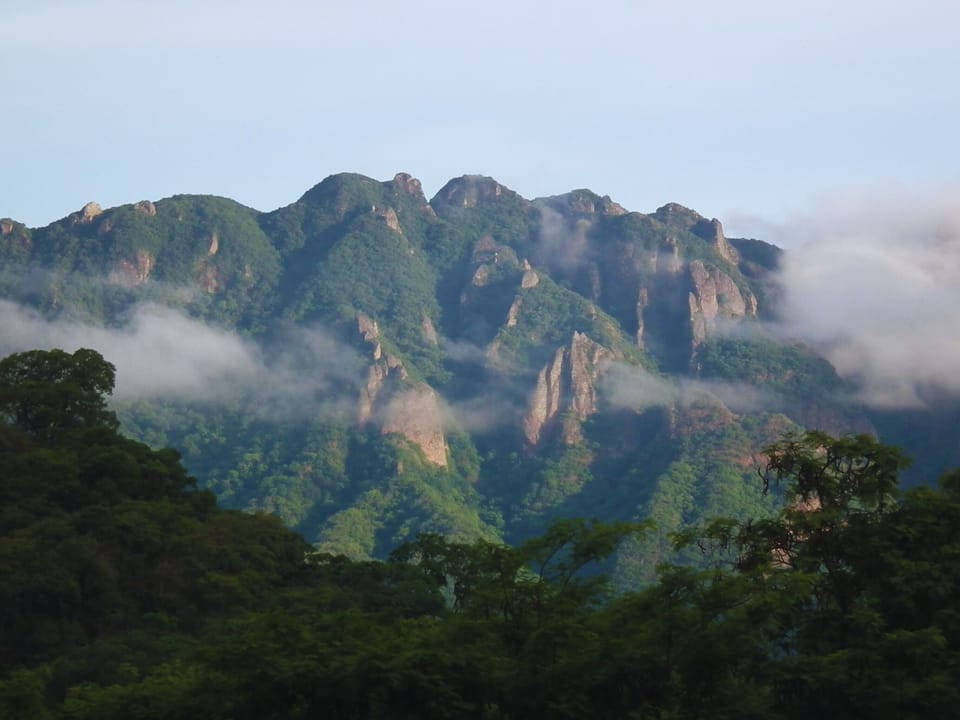 Image 30