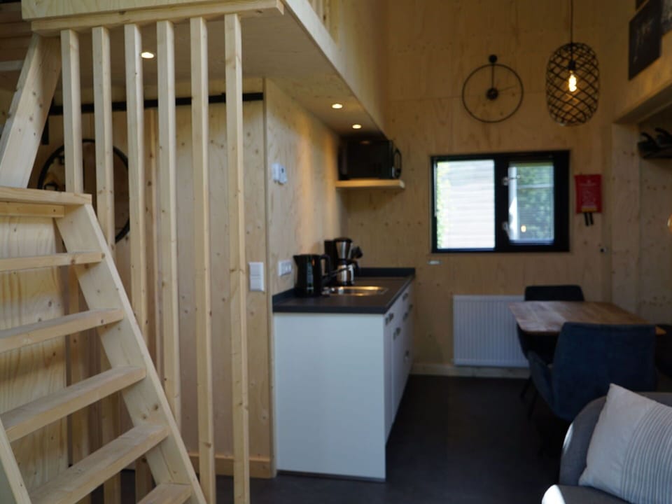 Property, Window, Wood, Interior Design, Houseplant, Architecture, Floor, Plant, Wall, Flooring