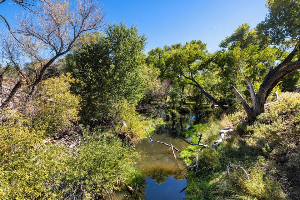 Just steps from scenic trails and creek views
