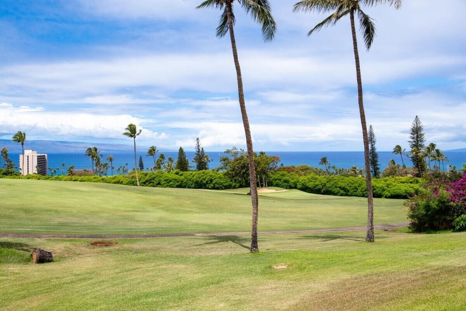 KaanapaliPlantation12-30