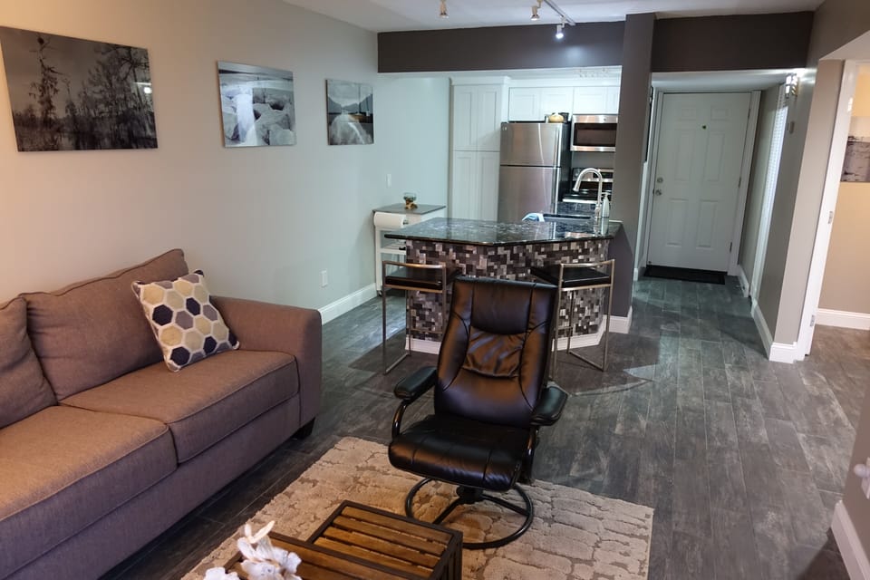 Living Area tokitchen and entrance