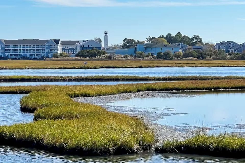 Views of the Fenwick Island lighthouse over Lighthouse Cove.