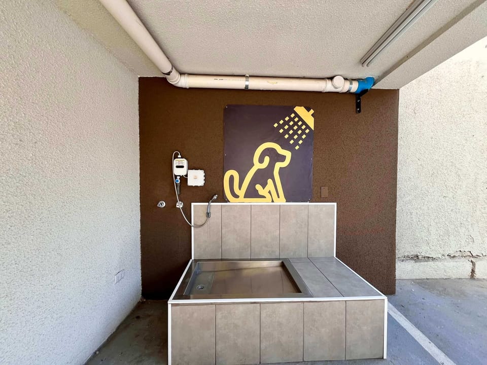 Pet Area