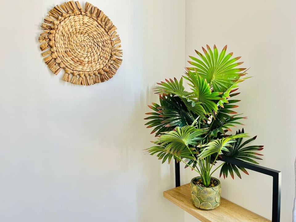 decoracion