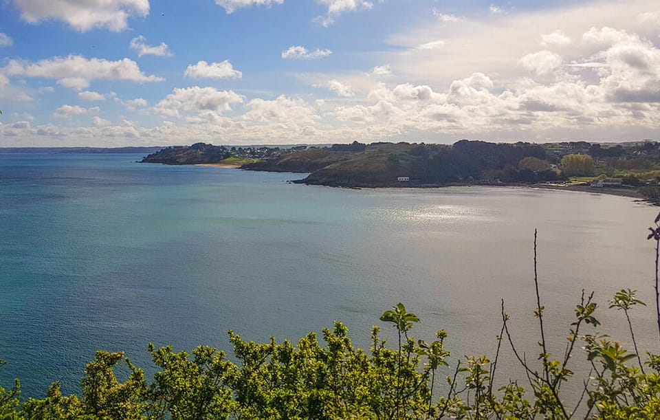 area