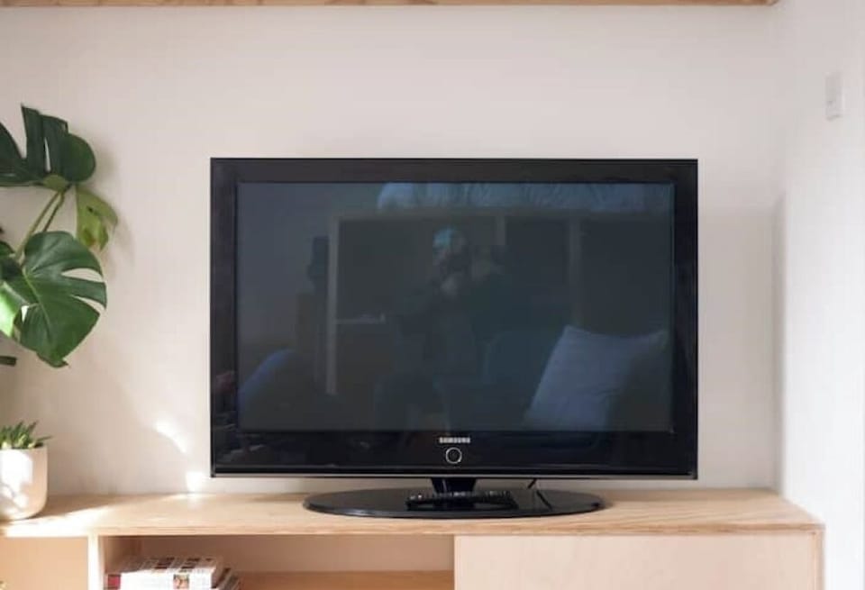 Television