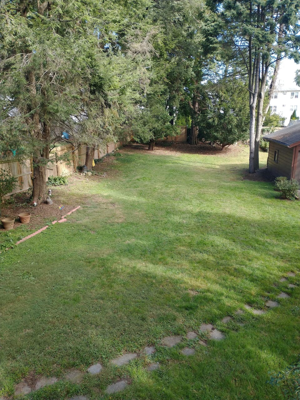 Great and large back yard. Rear entrance to the house.