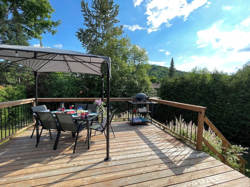 Terrasse privée et BBQ électrique