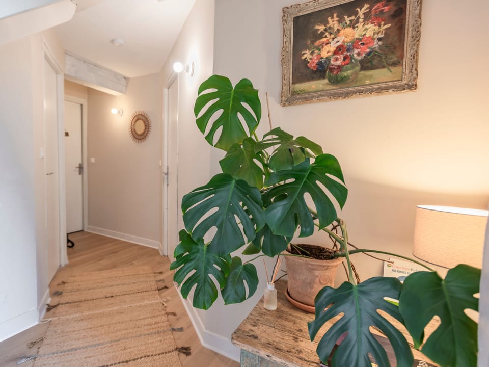 Entrance / Reception