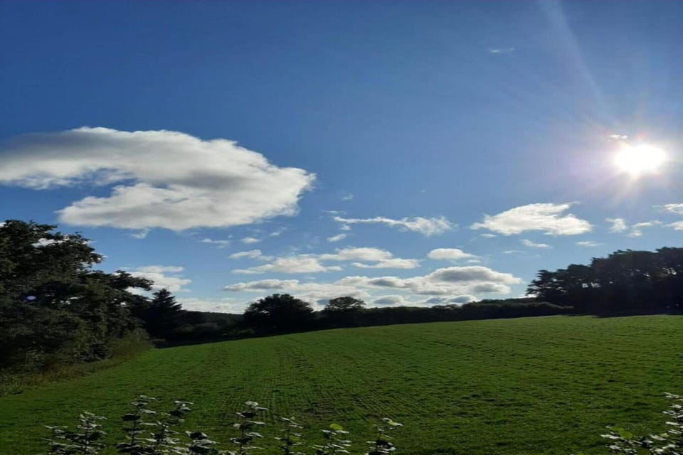 Region [summer] (>5 km)