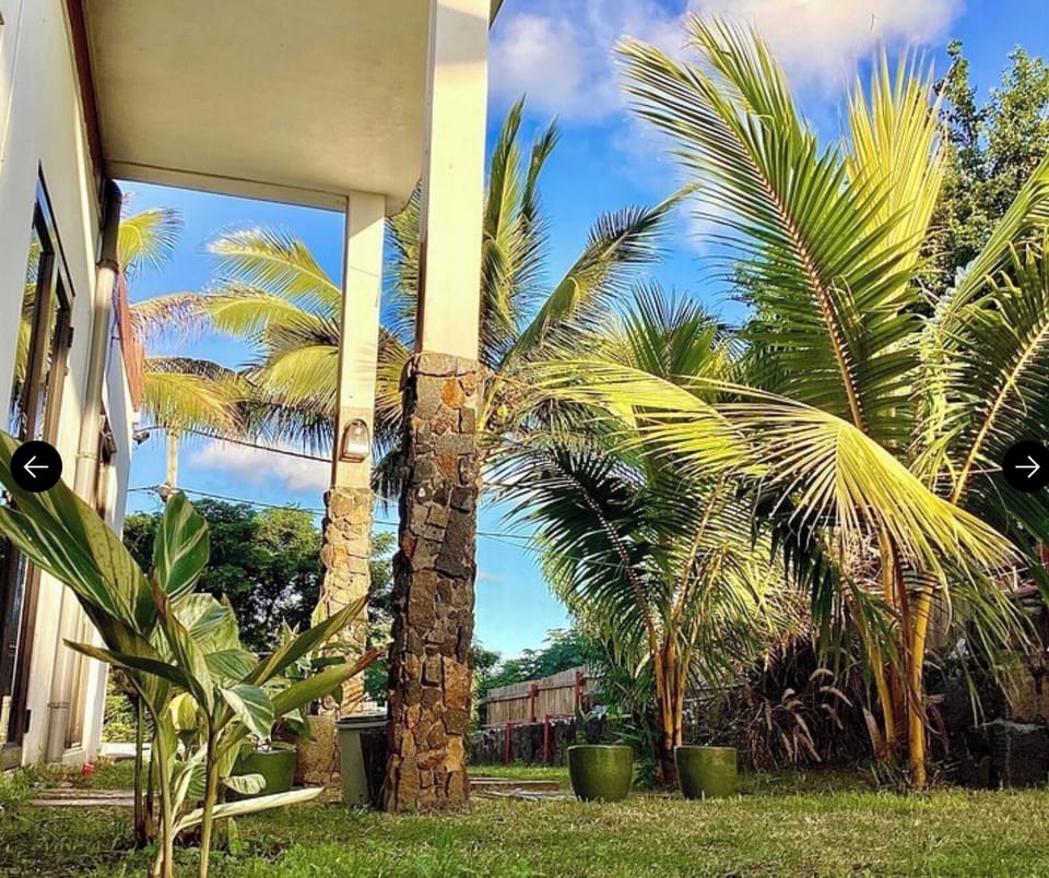 Yard view