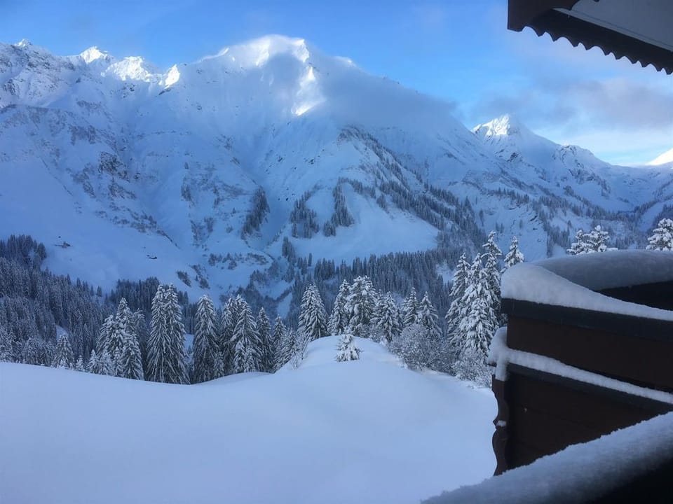 View from property