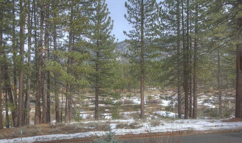 Views of the meadows from the House